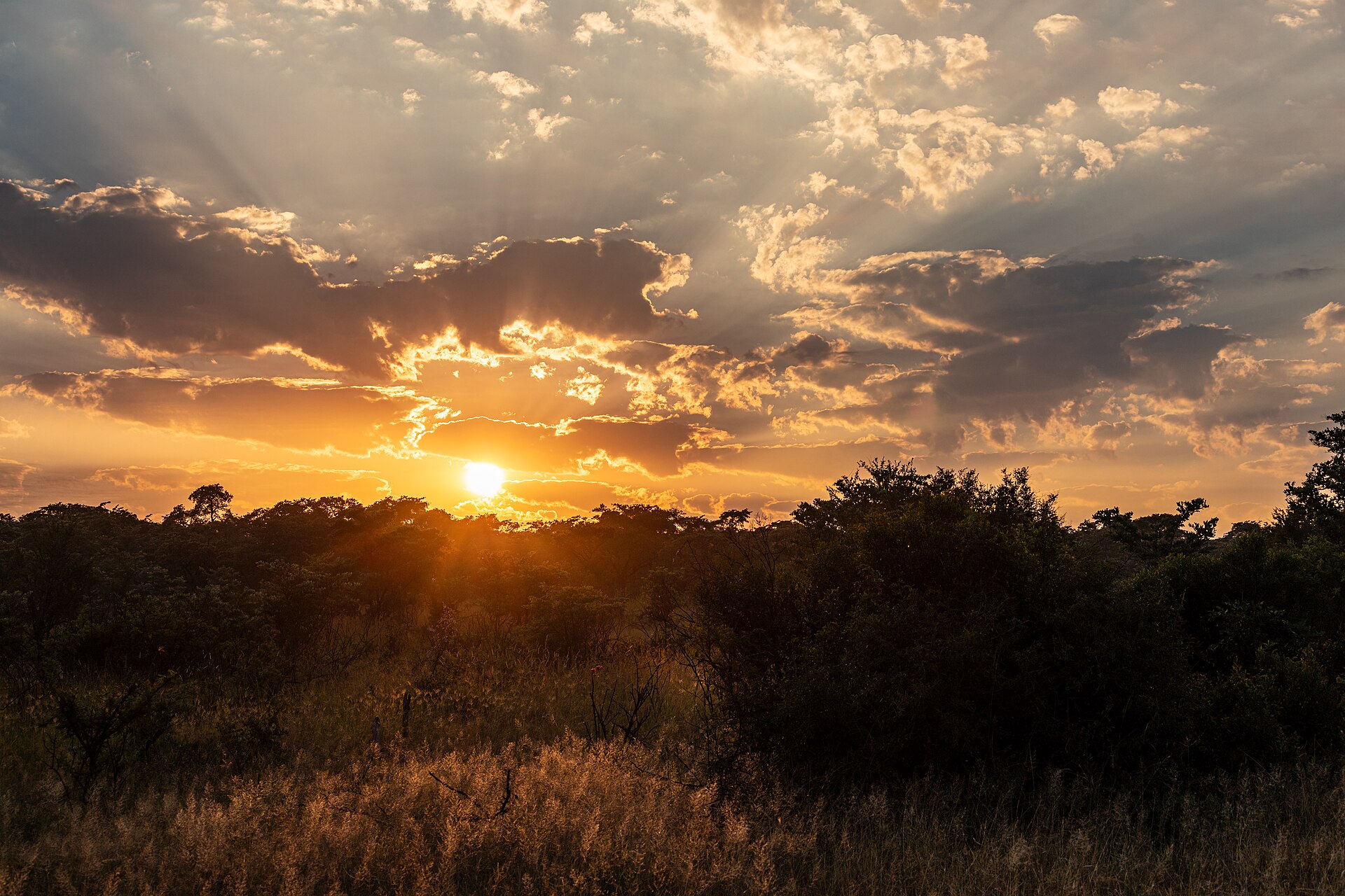 Self-Drive Kruger National Park: The Complete Planning Guide